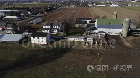 阿米什家庭婚礼由一位医生见证视频