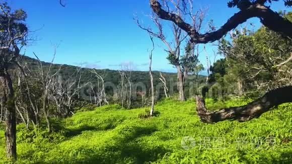 纳帕利海岸国家荒野公园，考艾，夏威夷，太平洋，夏威夷岛，地球上的天堂，波里哈莱州公园，卡拉拉