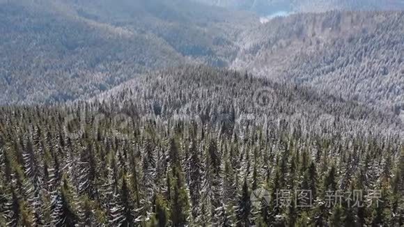 飞越雪域喀尔巴阡山顶部的雪云杉森林