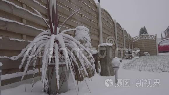 覆盖城市花园的降雪视频