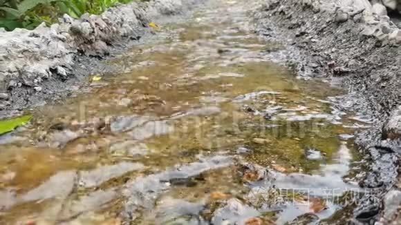 瀑布溪溪河流水视频