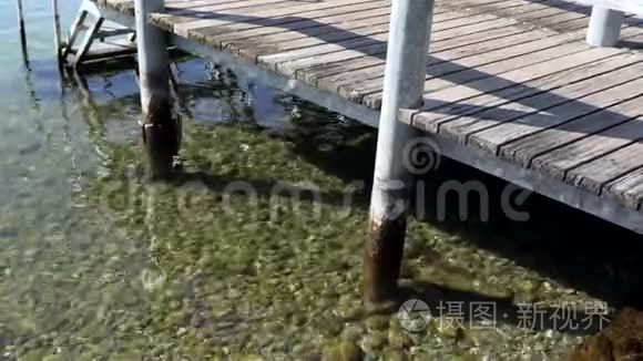 在湖中游泳的铁梯视频