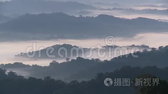 雾和雾中的森林山视频