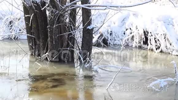 早春的水正从沟渠中流过视频