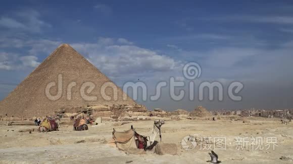 埃及开罗吉萨河谷的大金字塔视频