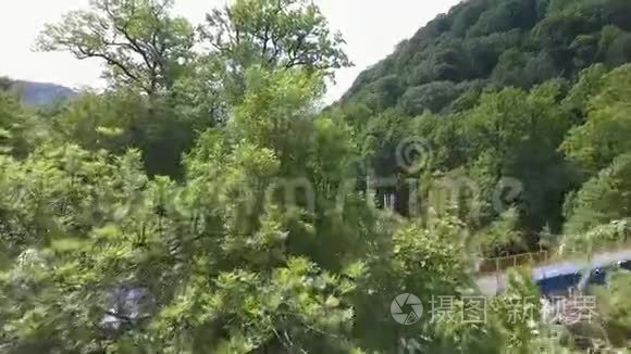 高加索山脉峡谷中的河流，在茂密的树木中