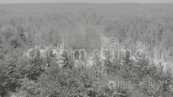 冬季山雪空中森林顶部景观视频