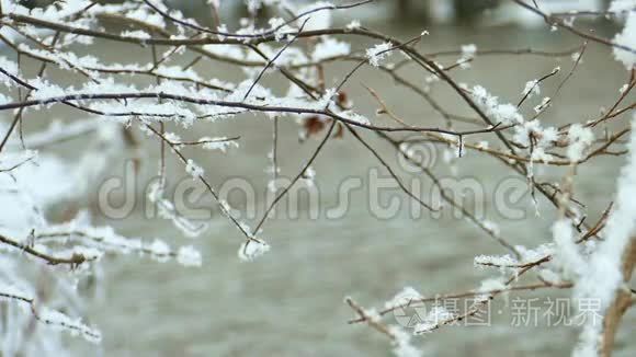 白雪覆盖的树枝挂在小溪上