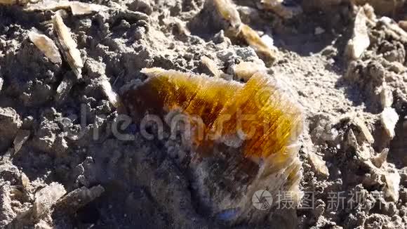 在靠近盐湖和白沙国家公园的亚利桑那州沙漠中，粘土中的大量石膏晶体