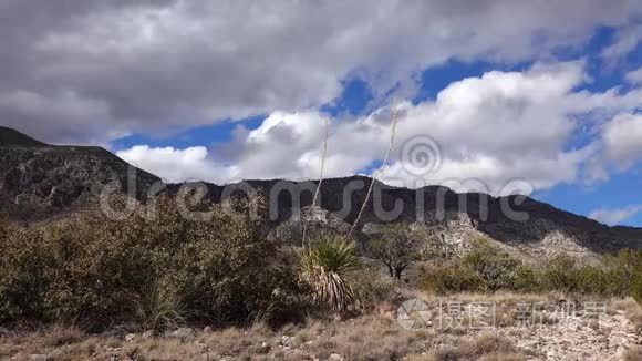 尤卡斯和仙人掌背景下的山脉与雷云。 新墨西哥州。 美国