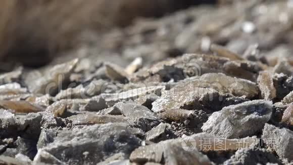 在靠近盐湖和白沙国家公园的亚利桑那州沙漠中，粘土中的大量石膏晶体