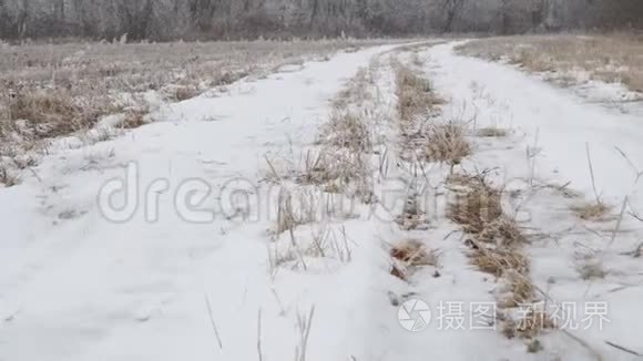 照相机在白雪覆盖的小径上滑行视频