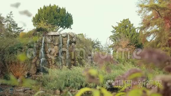 瀑布流动的植物园的壮丽景色视频