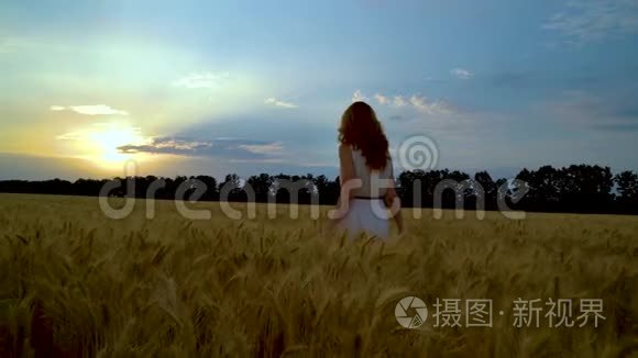 小女孩走向麦田的夕阳视频