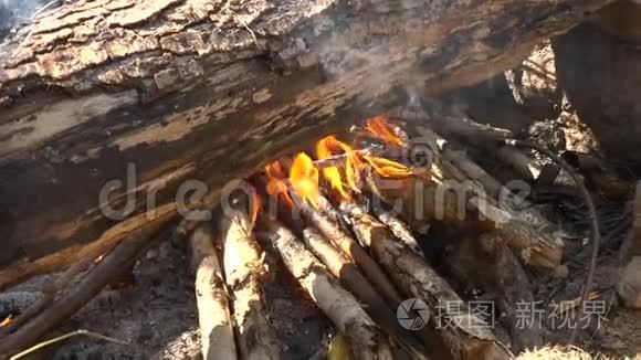 野餐时篝火燃烧。 露营，徒步旅行。 夏日