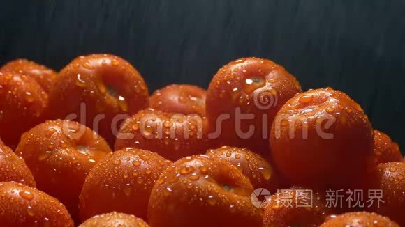 西红柿用细喷雾清洗视频
