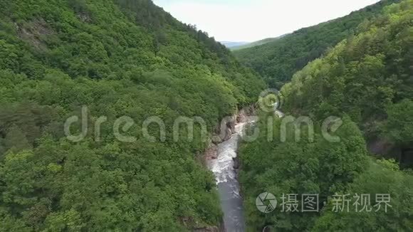 高加索山脉峡谷中的河流，在茂密的树木中