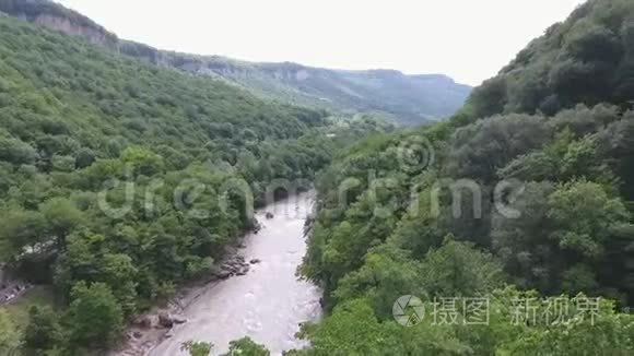 高加索山脉峡谷中的河流，在茂密的树木中