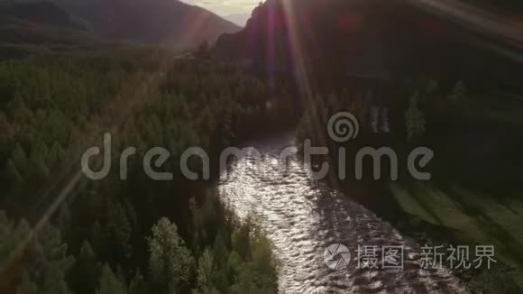 森林景观，河面阳光，电影拍摄4k