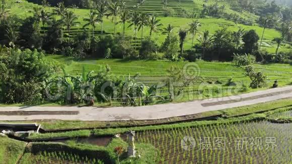 在印度尼西亚巴厘岛的Jatiluwih水稻梯田上，空中无人机可以看到令人惊叹的景观稻田和绿色植物之间的道路