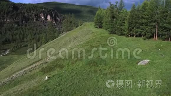 飞越森林电影镜头，航拍松林的河山.. 4K