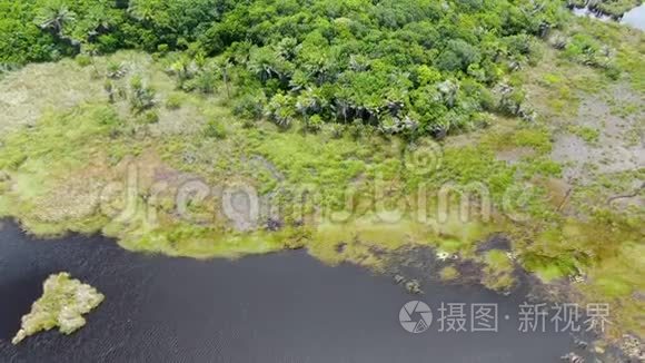 巴西热带雨林丛林空中景观视频