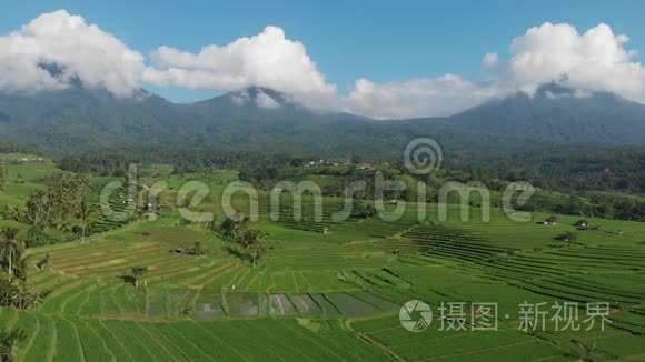 在印度尼西亚巴厘岛的Jatiluwih Rice Teraces和山脉上用无人机飞行的稻田空中视野