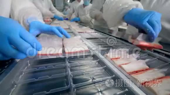 食品加工厂生产线.. 工业工人用鱼产品填充包装板