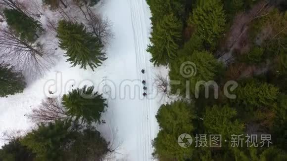 冬天登山的背包客和滑雪杆视频