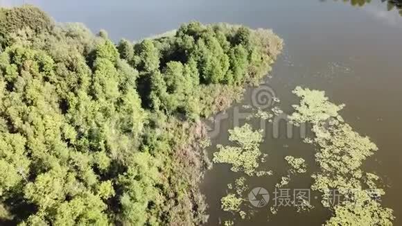 美丽的霍特西湖景观视频