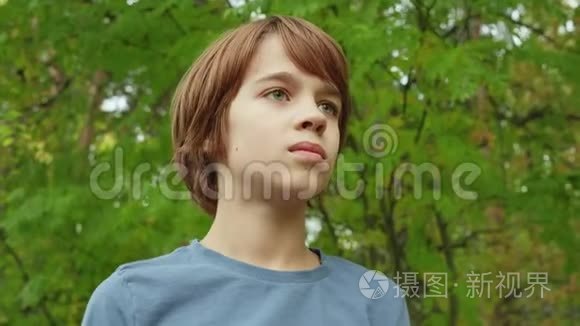 肖像少年男孩寻找镜头绿色树叶背景。 英俊的小男孩在夏天的树上摆姿势拍照