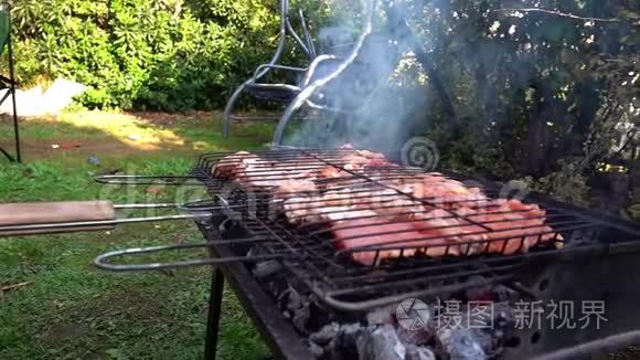 生鸡肉与煤火烧烤视频