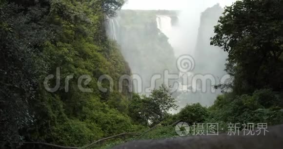 维多利亚瀑布，世界上最大的瀑布，从附近的丛林中观赏