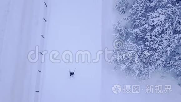 在美丽的蓝松树的雪覆盖滑雪道上进行无法辨认的男女滑雪者训练的空中观看视频