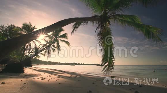 棕榈树和热带岛屿海滩，多米尼加蓬塔卡纳的日出拍摄地