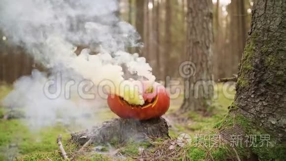 秋天森林里有彩烟的万圣节南瓜