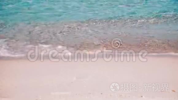 巴利阿里群岛森林透明海浪视频