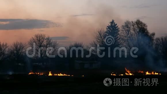 日落时在草地上或村庄附近的田野里烧草。 火焰和浓烟的色调。 生态危害。 中等