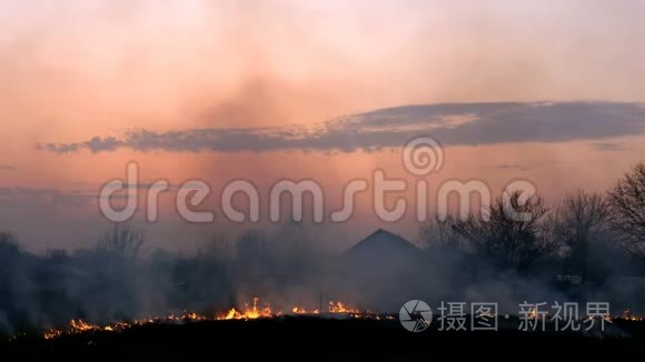 日落时在草地上或村庄附近的田野里烧草。 火焰和浓烟的色调。 生态危害。 中等