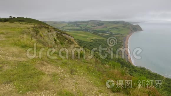 在海滩湾遇见海景的草地