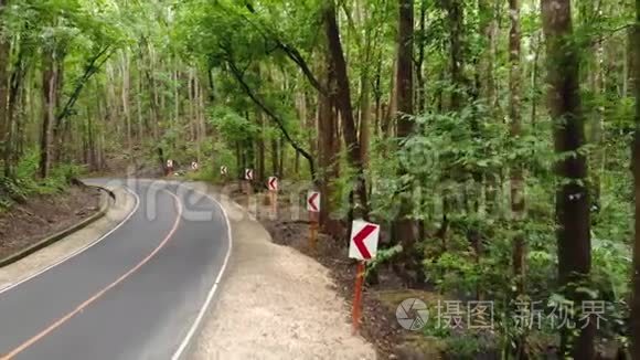 两辆迎面而来的汽车在茂密的丛林森林中沿着一条狭窄的沥青路行驶。 菲律宾博霍人工森林