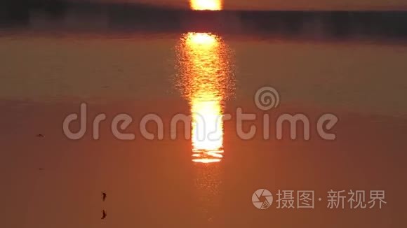 日出倒影湖水和飞鸟视频