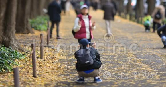 秋天在东京的银杏街散步视频