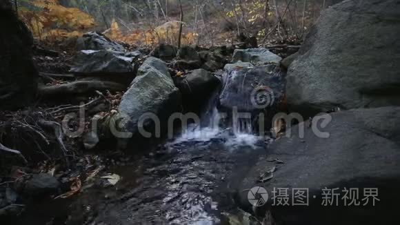 秋天森林里的山河瀑布视频