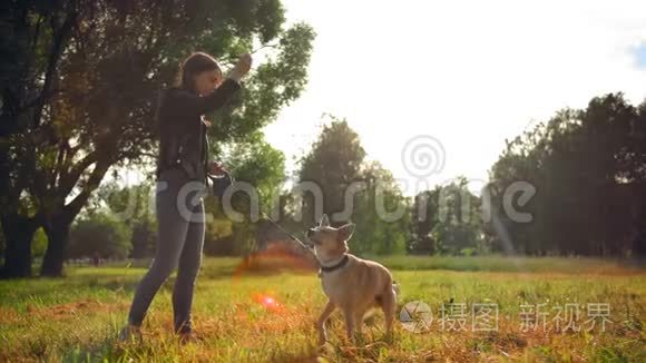 一个年轻的女孩在公园里和她的狗玩把戏。