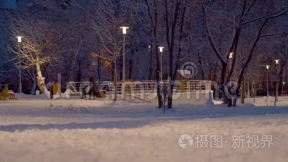 下雪后人们带着新鲜的雪在公园里散步