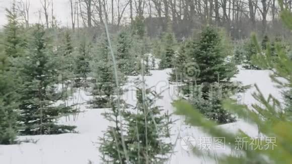 在美丽的灰色冬季景观上下雪视频