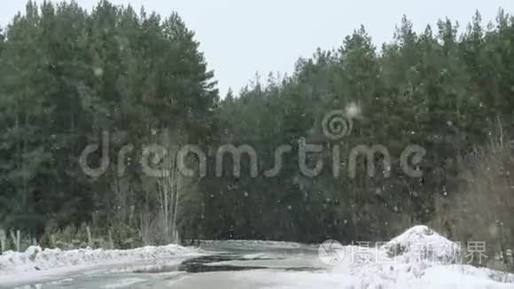 在美丽的灰色冬季景观上下雪视频