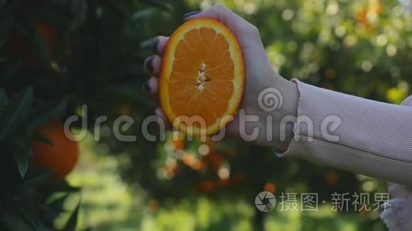 女人的手挤橙汁视频
