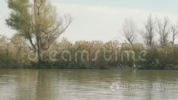 渔民在河上干芦苇附近的高速摩托艇上捕鱼。 眼睛视角。